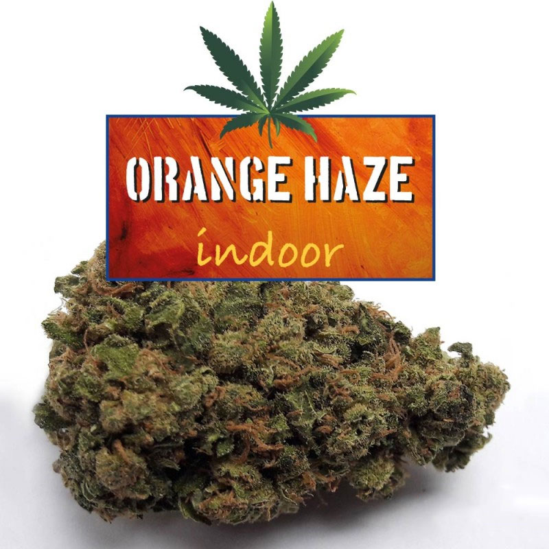 CBDWORLD Orange Haze 5g