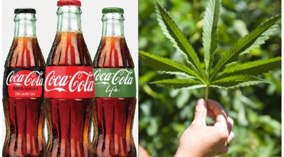 Coca Cola e Cannabis